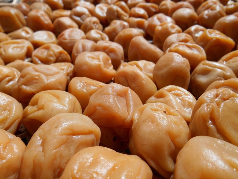 Macrobiotic